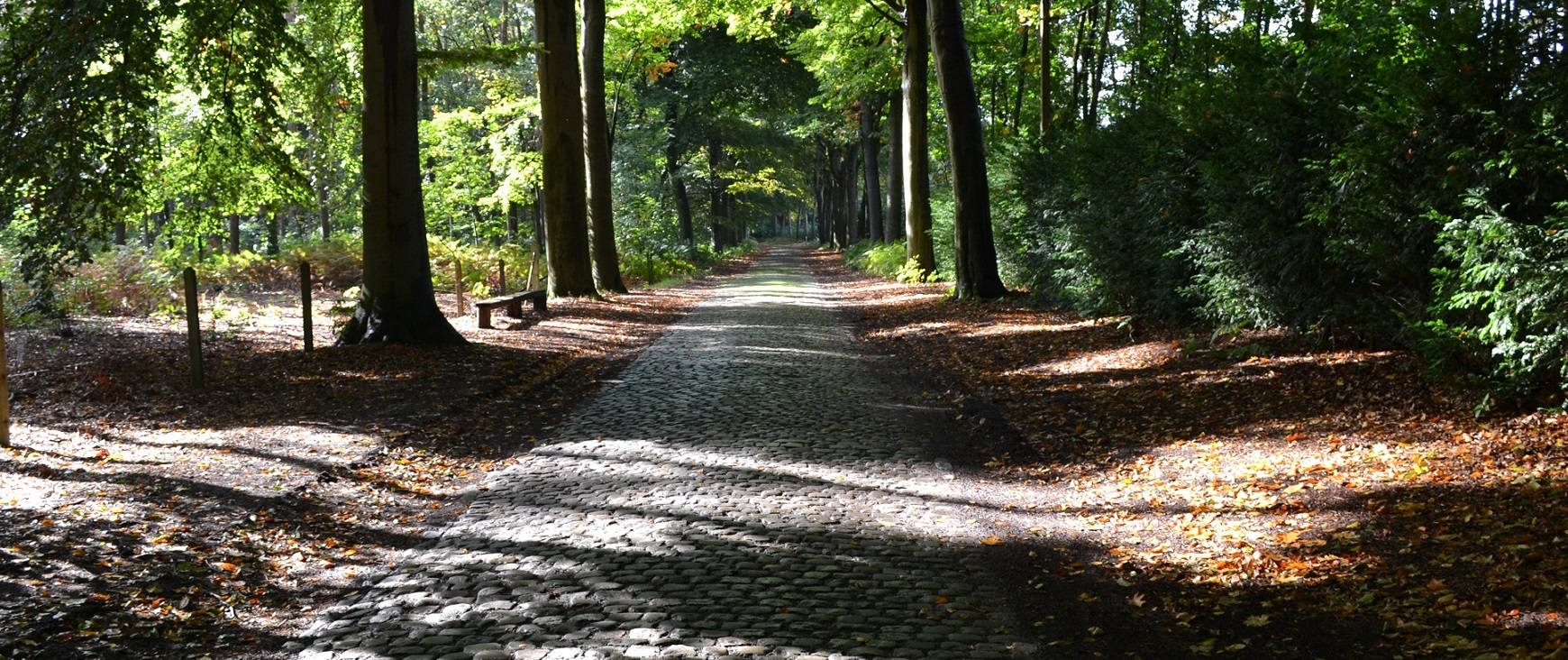 B&B 't Heirweggoed